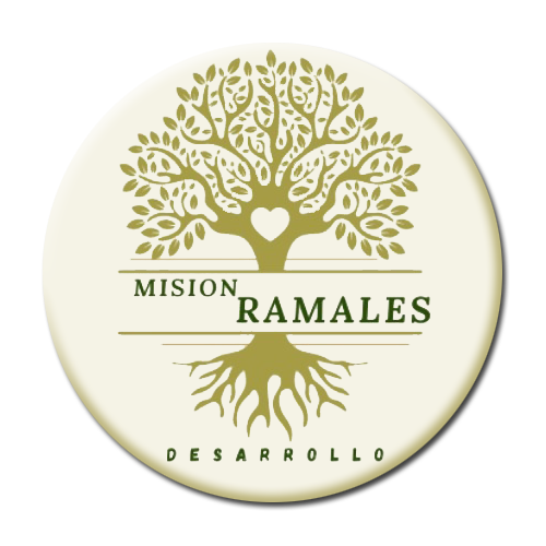 Cargando Misión de Ramales